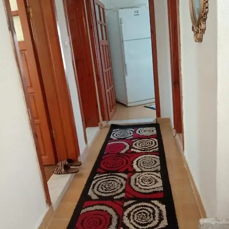 Bogazici Koeyue Milas